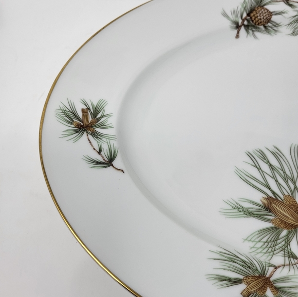 Rosenthal Germany Pine Needles Selb-Plossberg Aida Large Oval 15" Platter Dish - Picture 2 of 6
